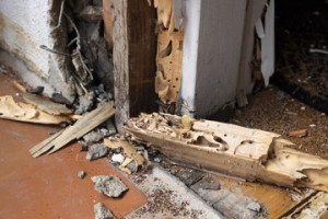 NYC Water Damage Restoration